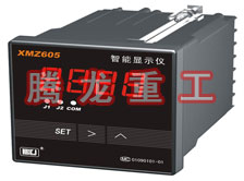 溫度表、數(shù)字顯示儀、濕度表
